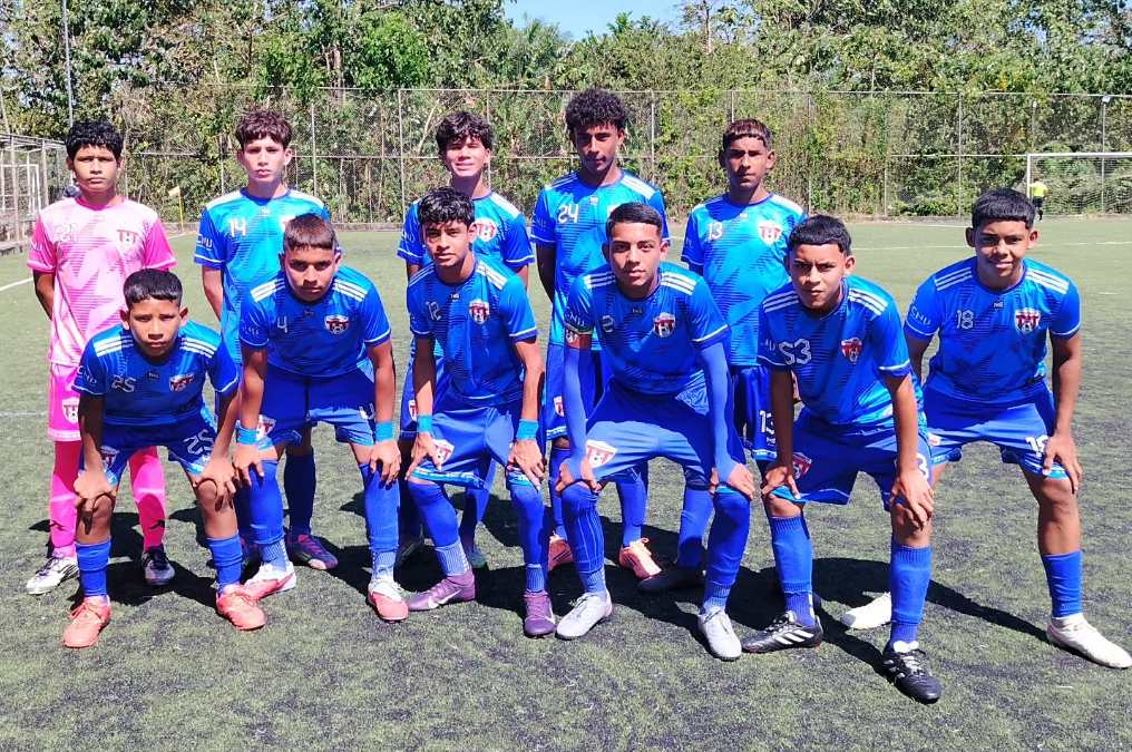 Desarrollo Competitivo